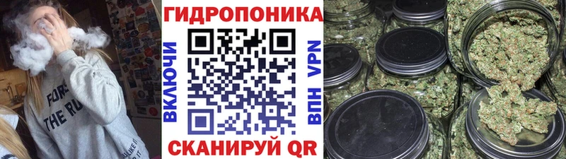 Купить наркотик Киренск Гашиш  Амфетамин  Псилоцибиновые грибы  МАРИХУАНА  Метамфетамин  Мефедрон  Alpha PVP 