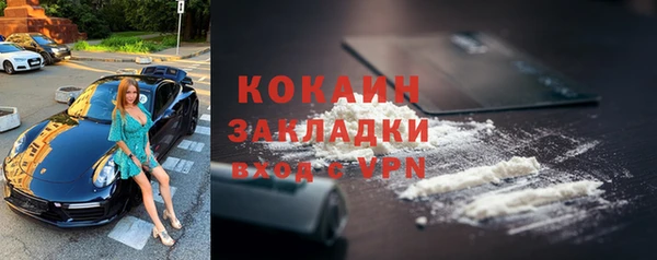 шишки Киренск