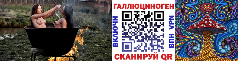 мега маркетплейс Киренск Псилоцибиновые грибы Psilocybe как найти закладки